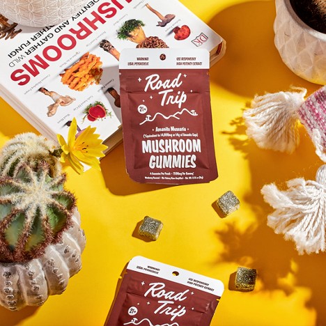 Home 89113920 1700620216 1 2